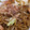 くむちん's cooksnap of when they made 縁日風☆焦がさずの焦がしソース焼きそば！.