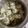 toyokama's cooksnap of when they made <離乳食>白身魚のふわふわ団子.