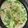 yu-kunmama's cooksnap of when they made 目指せあのお店の豆乳鍋～豆乳しゃぶしゃぶ.