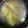 手抜きクック's cooksnap of when they made 超簡単！オクラとみょうがの夏スープ☆.