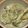 クックSM5G3V☆'s cooksnap of when they made アモック（カンボジアの定番料理）.