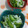 赤い電話's cooksnap of when they made ＊簡単＊夏の常備菜♬ゴーヤの甘酢漬け♡.