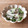 はい☆うさぎ's cooksnap of when they made 長いもとおくらの塩昆布和え.