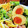 ダッフィーニーうに's cooksnap of when they made 美味しい！とろり半熟の味玉！.