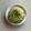 ☼apple☼'s cooksnap of when they made キウイとレモンカスタードのタルト.