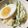 もぐコロくま's cooksnap of when they made 豆乳マヨネーズ@玉ねぎ麹.