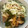 sato3★'s cooksnap of when they made 簡単♫豚肉とピーマンと玉ねぎの味噌炒め.