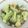 クックZRME78☆'s cooksnap of when they made 冷凍ブロッコリーのくたくた.
