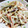 クック5CLUS8☆'s cooksnap of when they made ごぼうと人参の胡麻マヨ ＊作り置き＊.