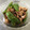 Rick_t's cooksnap of when they made 豚肉＆ししとう★生姜焼き.