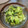 ハナ猫's cooksnap of when they made 青梗菜炒め.