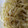 kinkinsan's cooksnap of when they made ごま好きが作る　もやしのナムル.