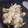 メイプル⌘'s cooksnap of when they made あさりの炊き込みご飯.