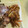 sakutakuhitoshu's cooksnap of when they made スイカの皮とシーチキン炒め.