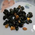 vivianj's cooksnap of when they made スイカの種のお料理「いける？いけない？」.