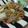 クックM1J9NI☆'s cooksnap of when they made ウスターソースで簡単やきそば.