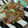 クックM1J9NI☆'s cooksnap of when they made ウスターソースで簡単やきそば.
