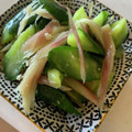 0720まま's cooksnap of when they made 簡単★胡瓜とみょうがの浅漬け.