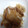 クックL2N889☆'s cooksnap of when they made 豚の生姜焼き.