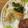 まめ郎's cooksnap of when they made ぱぱっと作れる豆苗ともやしのサラダ.