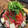 クックJ9I5JA☆'s cooksnap of when they made 激ウマ！！簡単ちりとり鍋！！.