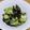 ﾋﾟﾛﾐ♡'s cooksnap of when they made 簡単◎きゅうりとわかめの酢の物.
