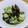 ﾋﾟﾛﾐ♡'s cooksnap of when they made 簡単◎きゅうりとわかめの酢の物.