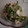 megryu's cooksnap of when they made オクラと長芋の梅かつお風味.