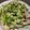 クックL39A2Q☆'s cooksnap of when they made ボイルイカのネギだくマヨポン.