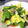 なおのしょうのすけ's cooksnap of when they made 絹さやと玉子のスイートチリソースがけ.