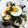 ゴンこま's cooksnap of when they made 簡単！我が家の焼き鳥丼.