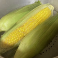 papikun's cooksnap of when they made 蒸しとうもろこし＆シワにならない保存法.