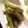 りんごっ。's cooksnap of when they made 簡単！レンチンししとう.
