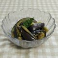 umemodoki's cooksnap of when they made 茄子の旨辛ナムル.