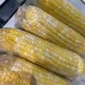 クックH6VLS7☆'s cooksnap of when they made 超簡単！とうきびの蒸し煮.