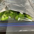 ローディーはぴ's cooksnap of when they made 【基本】ブロッコリーの冷凍方法.