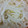 ささささ＆＊'s cooksnap of when they made 捨てないで！！そのもやし！.