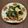 nemuchan's cooksnap of when they made 若竹煮.