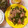 たぁープ〜's cooksnap of when they made ☆豚肉とピーマンの中華風炒め☆.