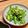 しゅんぷれいAPEX's cooksnap of when they made お弁当にも副菜にも！ピーマンの醤油炒め.