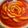 なろ。's cooksnap of when they made お花の桃レアチーズケーキ.