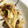 choco831's cooksnap of when they made きのこ大量消費で作り置き.