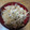 クックSUBTVS☆'s cooksnap of when they made ササミともやしの辛みあえ.