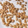 ふぁんころ's cooksnap of when they made かぼちゃの種の食べ方（パンプキンシード）.