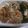 きらり流れ星's cooksnap of when they made 切り昆布とちくわの煮物.