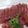 きらり流れ星's cooksnap of when they made カツオの刺身.
