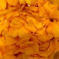 ★すずたま★'s cooksnap of when they made シャキシャキ食感☆コリンキーのサラダ.