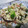 きらり流れ星's cooksnap of when they made きくらげともやしときゅうりの簡単ナムル.