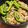 クックN55KPA☆'s cooksnap of when they made 簡単おつまみ♬しし唐と白滝炒め.
