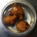SP♪'s cooksnap of when they made 生姜が長持ち♬.